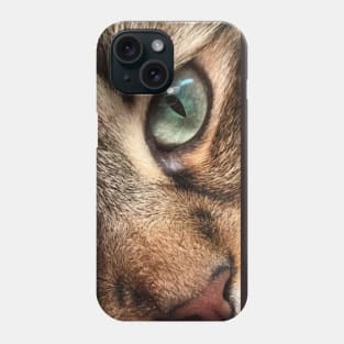 Ignatz, The Maine Coon Kitten Phone Case