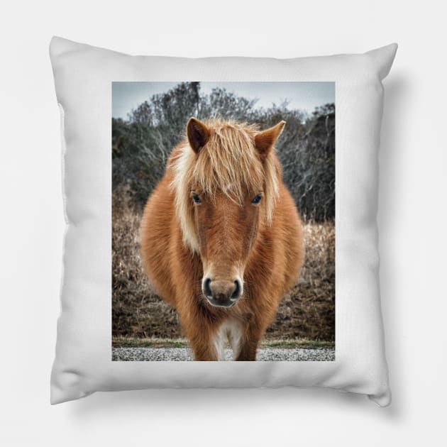 Assateague Island Horse Mieke’s Noe’lani Pillow by Swartwout