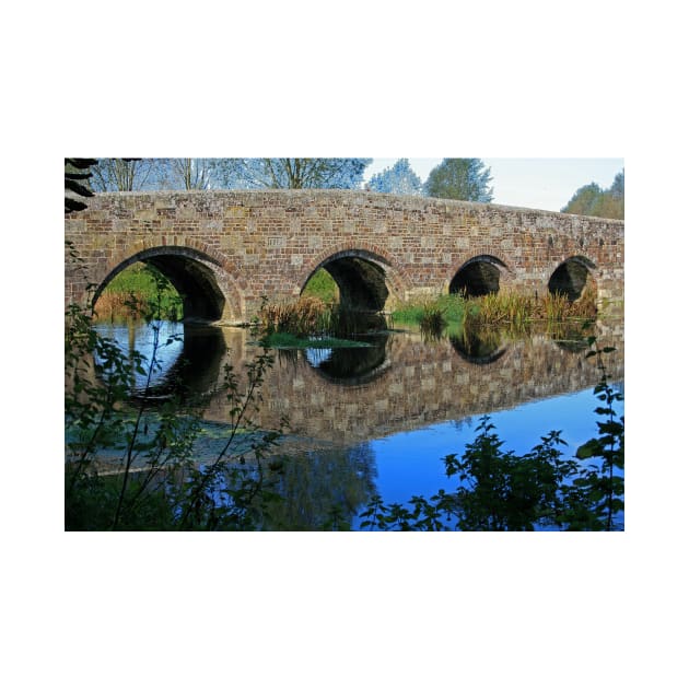 Stour Valley Way: Spetisbury Bridge by RedHillDigital