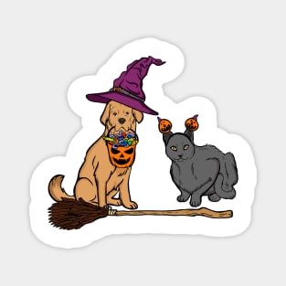 Halloween Dog & Cat Witch Animal Friends Magnet