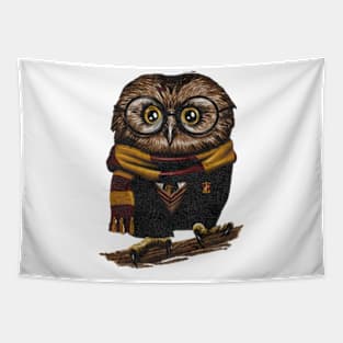 Owl bird wizard Tapestry