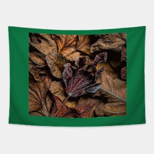 Autumn leaves Tapestry