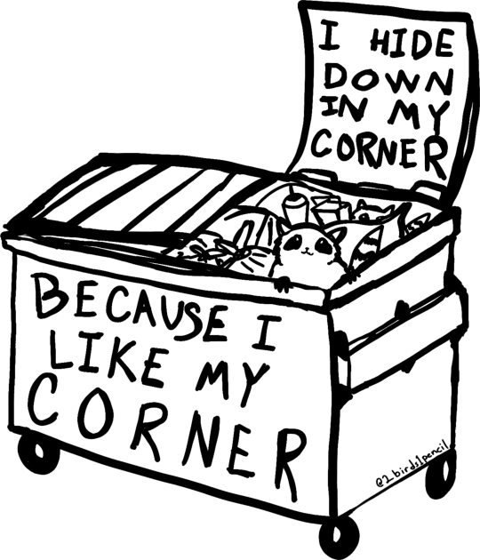 Dumpster Raccoon - inspired by lyrics from the Mountain Goats Kids T-Shirt by 2Birds1Pencil