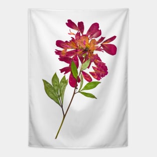 Watercolor botanical vintage Floral minimalist print 1 Tapestry