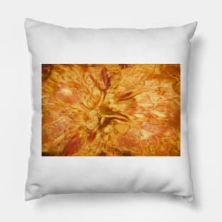 Copper Splash Pillow