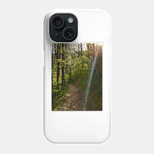 Afternoon Walk Phone Case