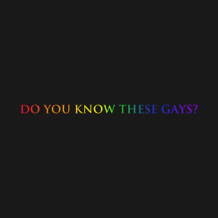 Do you know these Gays? (rainbow) T-Shirt