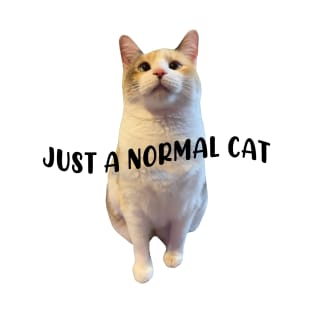 Just A Normal Cat Funny Cat Lover T-Shirt