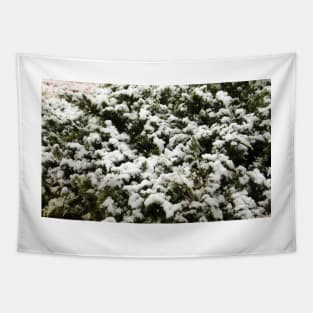 Snow Bush Tapestry