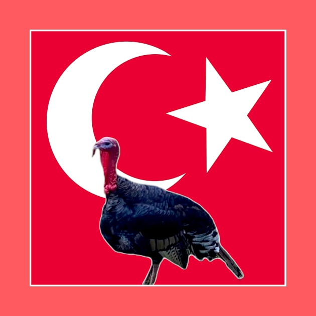 Turkey turkey by bobdijkers