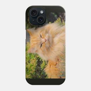 Ginger cat Phone Case