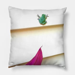 Pink Leaf Frog Pillow