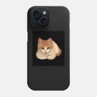 Portrait of domestic red kitten Phone Case