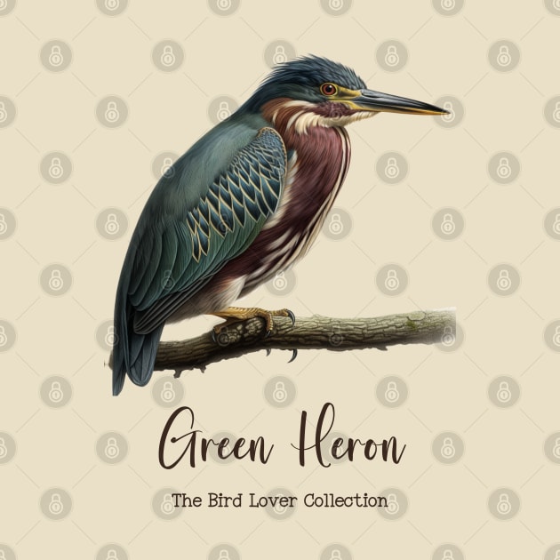 Green Heron - The Bird Lover Collection by goodoldvintage