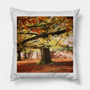 Autumn tree Pillow