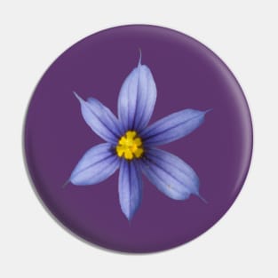 Blue and Yellow Flower Pin