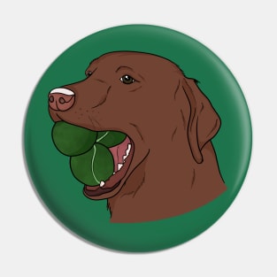 Brown Dog with Ball Pin