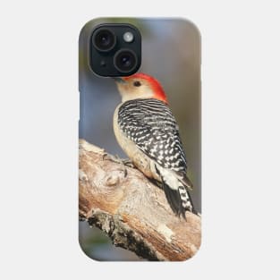 Red Bellied Woodpecker Phone Case