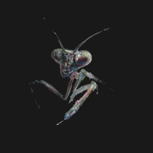 Praying Mantis: The Silent Hunter T-Shirt