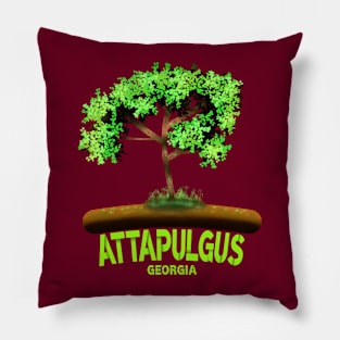 Attapulgus Georgia Pillow