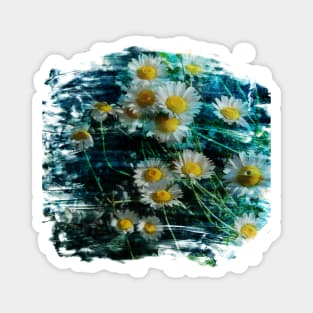 Ox-eye daisy flower brushstrokes Magnet