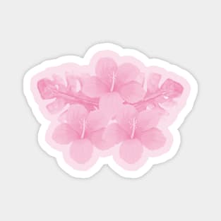 Tropical Pink Hibiscus Flower Magnet