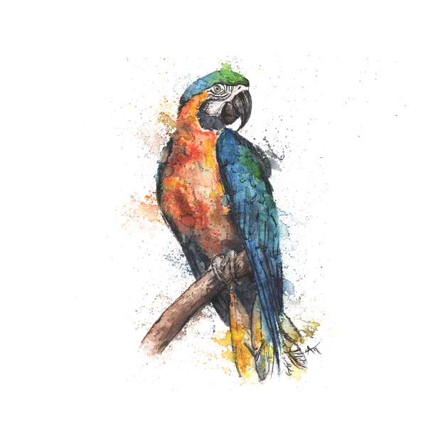 Macaw Parrot by Andraws Art