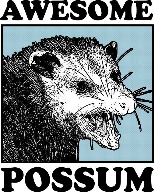 Awesome Possum Kids T-Shirt by DankFutura