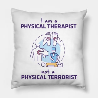 Physical Therapist, Not A Physical Terrorist Pillow