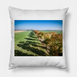 Alley of autumn trees among green fields in countryside Pillow