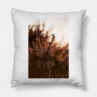 Calluna Pillow