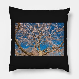 Cherry Blossom Tree Pillow