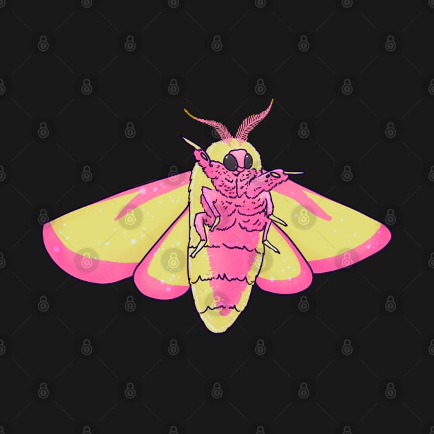 Rosy maple moth by 2dsandy