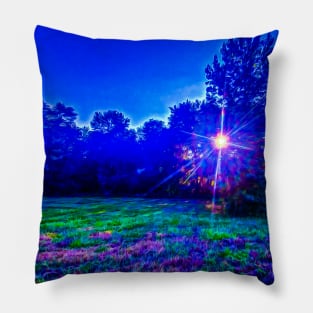 Colorful Field at Sunset Pillow