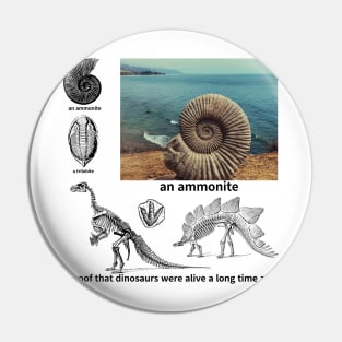 fossil, Proof that dinosaurs were alive a long time ago, dinosaur, an ammonite, a trilobite Pin