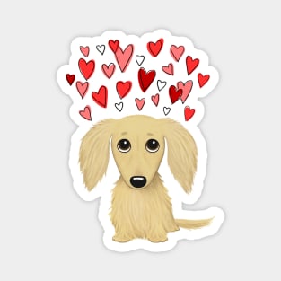 Cute Dog | Longhaired Cream Dachshund with Hearts Magnet