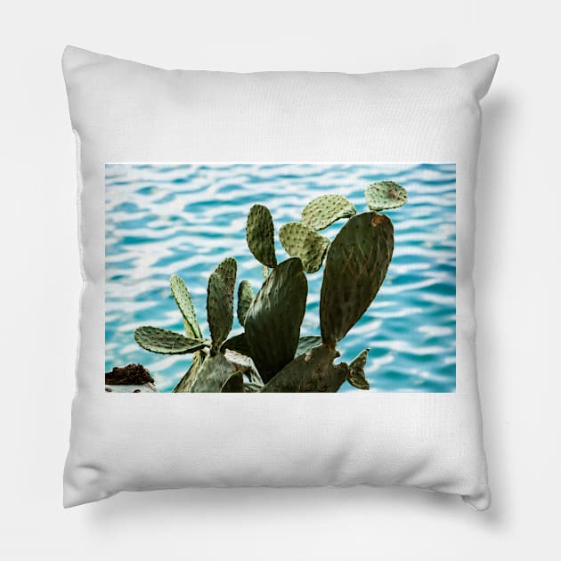 Cactus. Pillow by sma1050