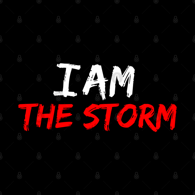 I Am The Storm by Firts King