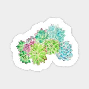 succulent arrangement watercolor painting Magnet