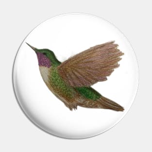 Hummingbird Pin