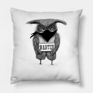 Bandit Owl Pillow