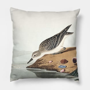 Semipalmated Sandpiper from Birds of America (1827) Pillow