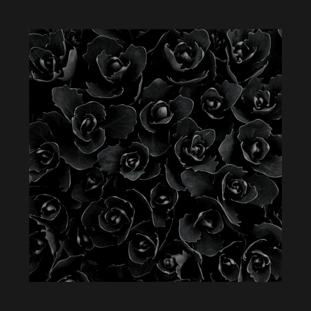 Black Roses by Nature-Arts