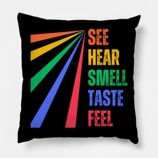 The Five Senses Pillow