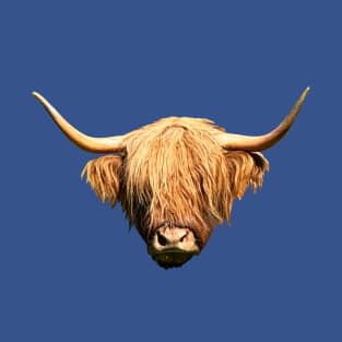 Highland cow, as seen in Scotland T-Shirt
