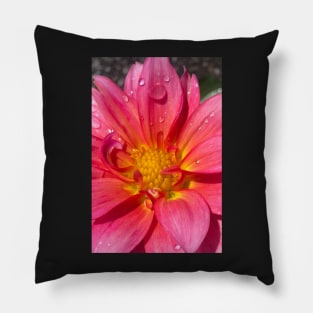 Pink Dahlia in the Rain Pillow