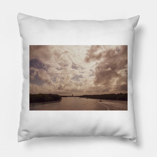 Everglades Pillow by byEstherReid