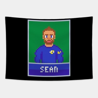 Sean 8bit Tapestry