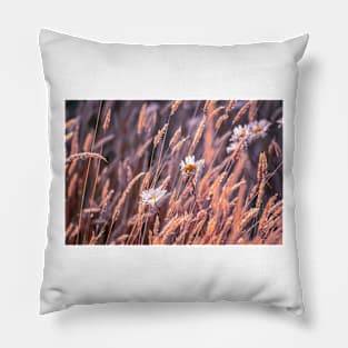 Daisies in a breeze Pillow