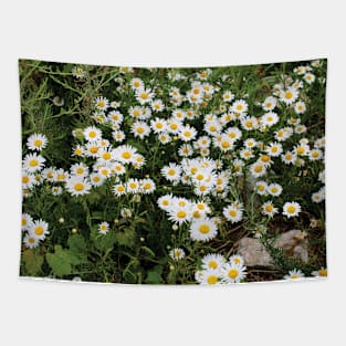 Field of Daisies Tapestry